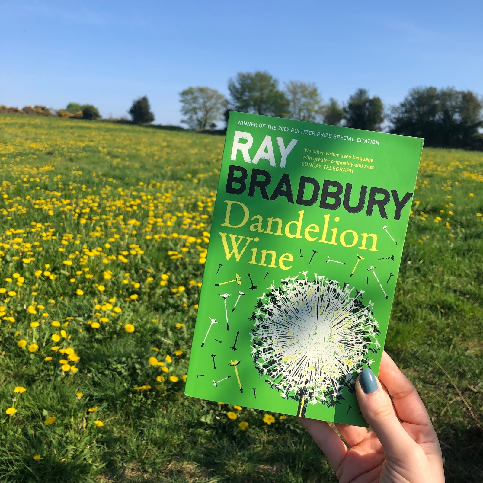cover of Dandelion Wine book